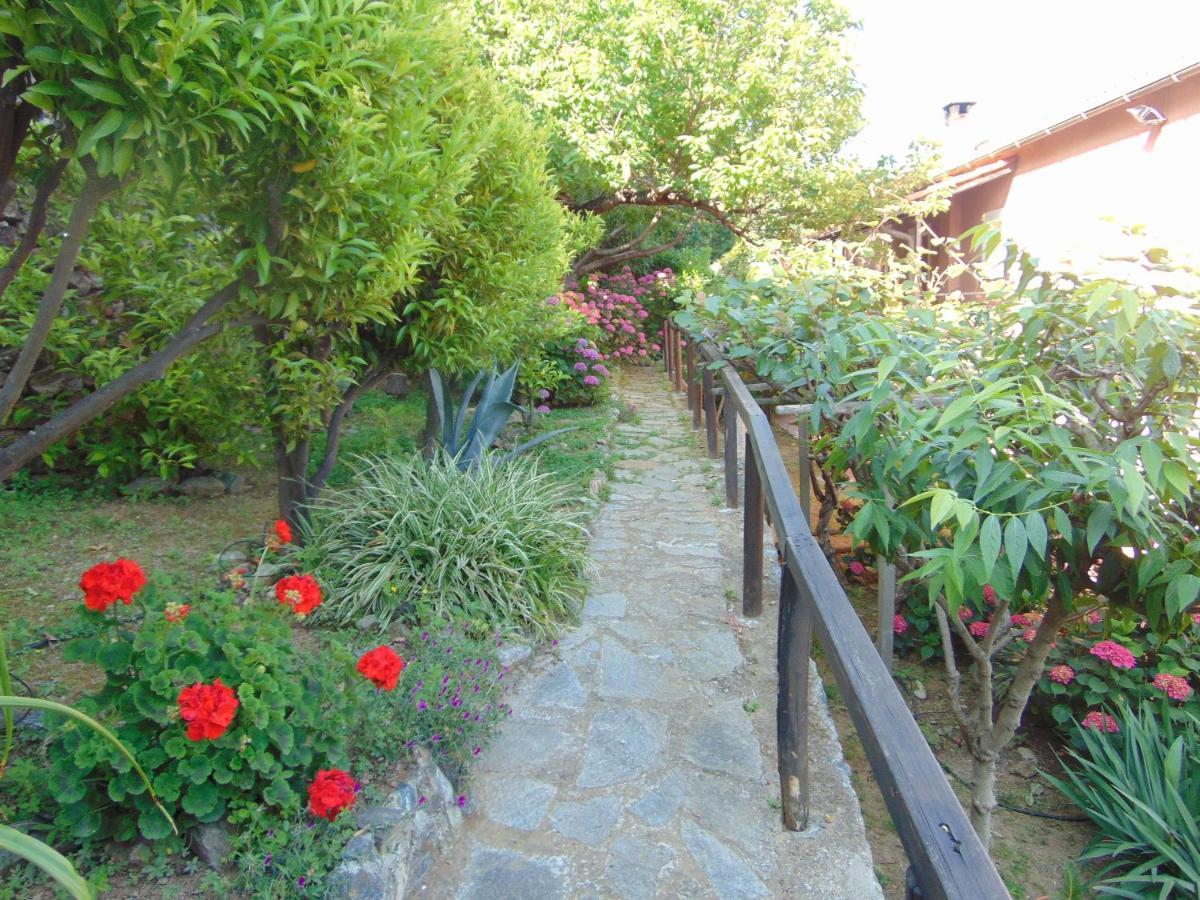 Casa Roberto B&B Savona Exterior photo